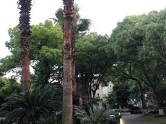 -上海汾阳花园酒店