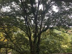 -天目湖御水温泉·度假酒店