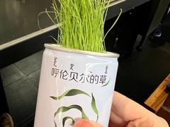 -很久以前羊肉串(朝阳路店)