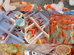 -李村大集