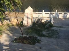 -桃花堤公园