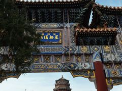 -颐和园