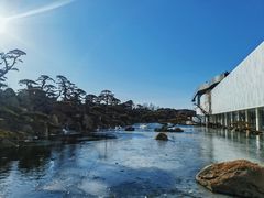 -罗红摄影艺术馆