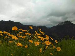 -罗田薄刀峰风景区