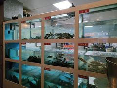 -石锅苗苗鱼(武汉首店)