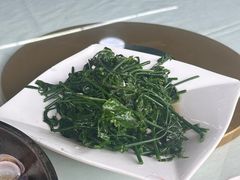 -八仔大富楼·河鲜(西江店)