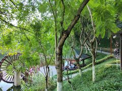 -重庆彩云湖湿地公园