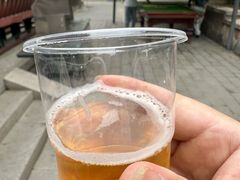 -尚庄度假村·庭台树下·户外烧烤·团建CS·轰趴营地(上庄水库店)
