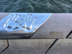 -星光大道