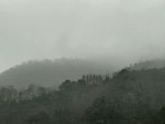 -青城后山