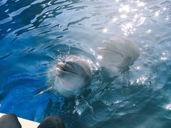 -北戴河圣蓝海洋公园