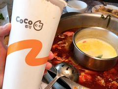 -鱼豆吉·豆浆鱼火锅(荆州万达店)