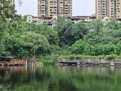 -重庆彩云湖湿地公园