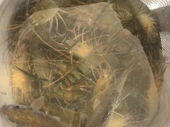 -DGE季风钓虾营地·团建·聚会