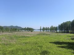 -四明山国家森林公园