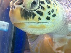 -合肥海洋世界