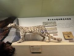 -国家自然博物馆