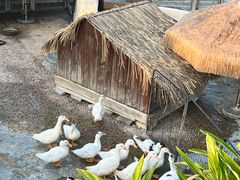 -珠海海泉湾神秘岛亲子乐园