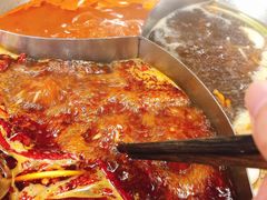 -陳艳红火锅(港汇店)