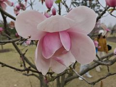 -广富林郊野公园