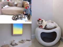 -怪兽屋·羊驼·猫咖·狗咖(俊华广场店)