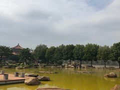 -广东圆玄道观