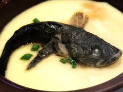 -龙吟九品(青龙山庄店)