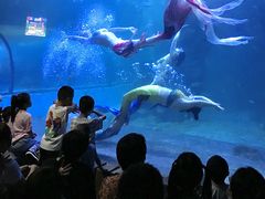 -左海海底世界