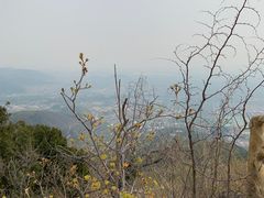 -鬼笑石后山停车场