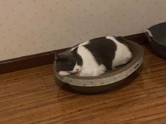 -上海枇杷烤鸭(燕丰商场店)