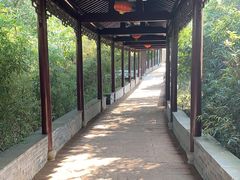 -八大山人梅湖景区
