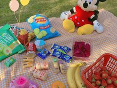 -合肥滨湖国家森林公园