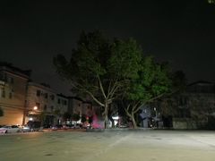 -红星光发煲仔饭(大石街店)