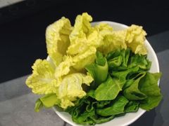 -木王宴语·野生鲜菌火锅(玉河店)
