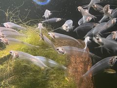 -海味当家·蒸锅海鲜(星海公园店)
