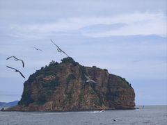 -棒棰岛宾馆景区