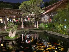 -河内西湖莲花自助餐厅