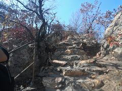 -大连天门山国家森林公园