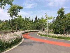 -上海长兴岛郊野公园