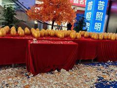 -张士灯具城(家居优选店)