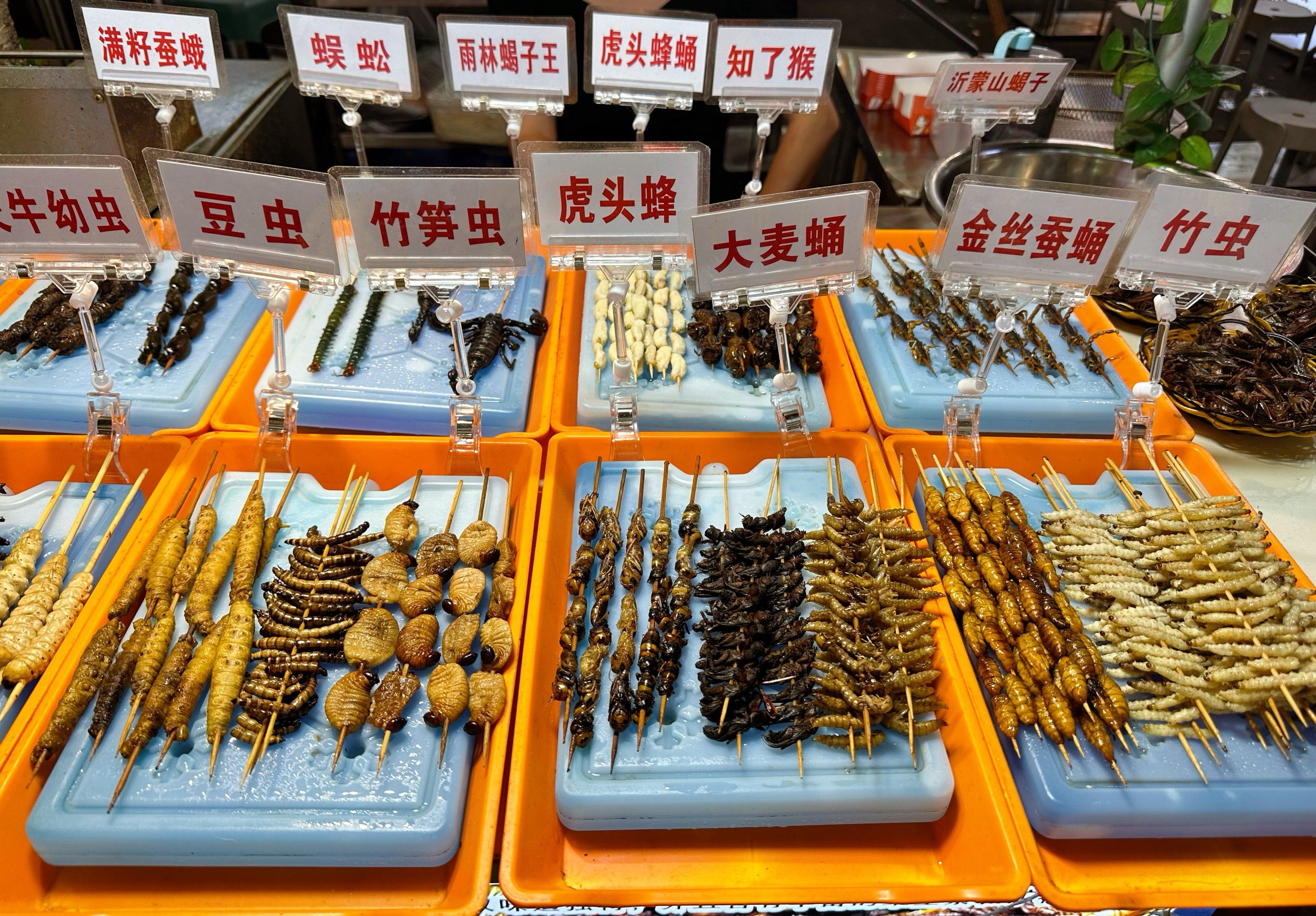 夜市的昆虫宴