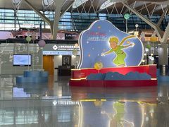 -上海浦东国际机场-T2航站楼