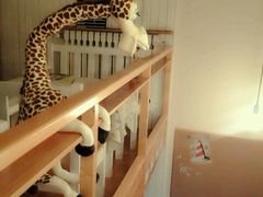 -长颈鹿咖啡(大学路店)