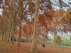 -河南省黄河迎宾馆