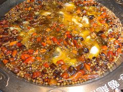 -雲蜀龙阁·金牌水煮鱼(方庄店)