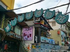 -猫咪博物馆(顶澳仔猫街店)