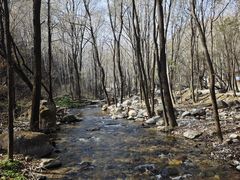 -玉渡山自然风景区