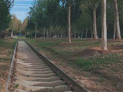 -永定河休闲森林公园