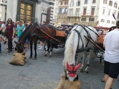 -圣母百花大教堂穹顶