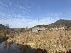 -西湖风景区-江洋畈生态公园